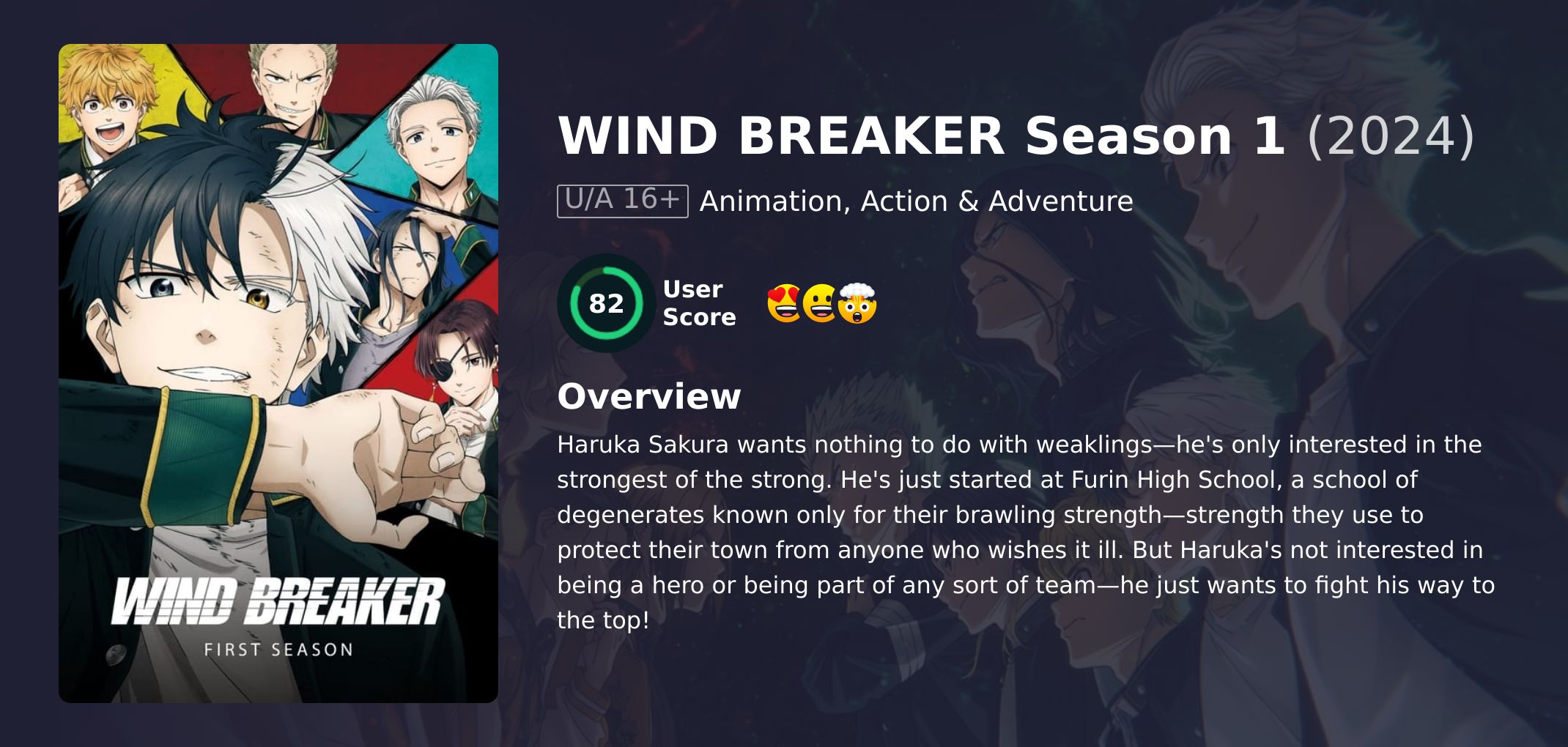 WIND BREAKER Season 1 Hindi Dubbed