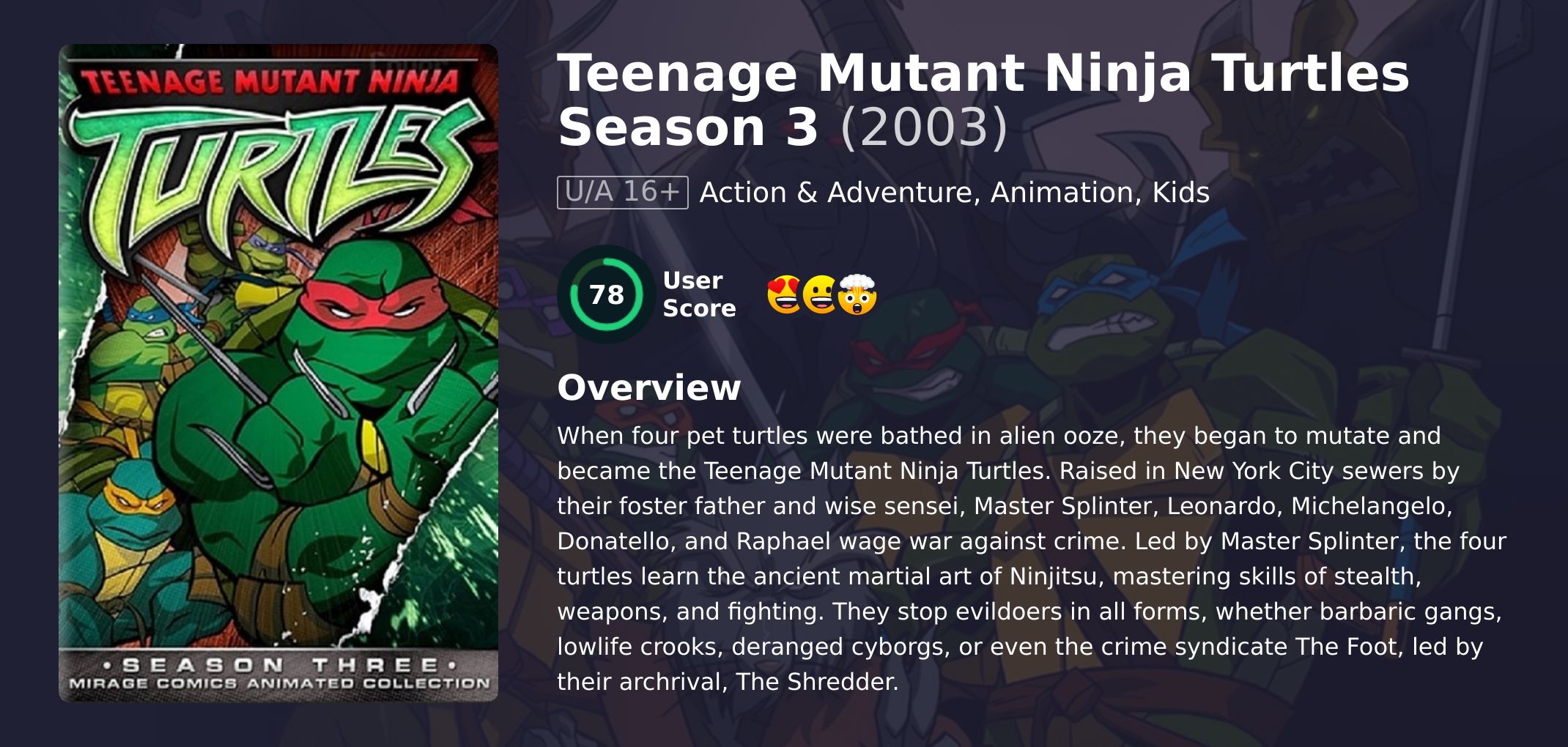 Teenage Mutant Ninja Turtles Season 3 English Dubbed