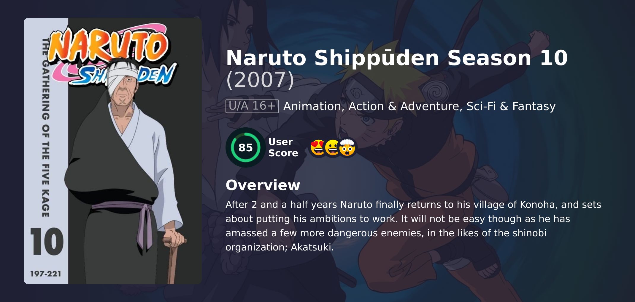 Naruto Shippūden Season 10 English Dubbed