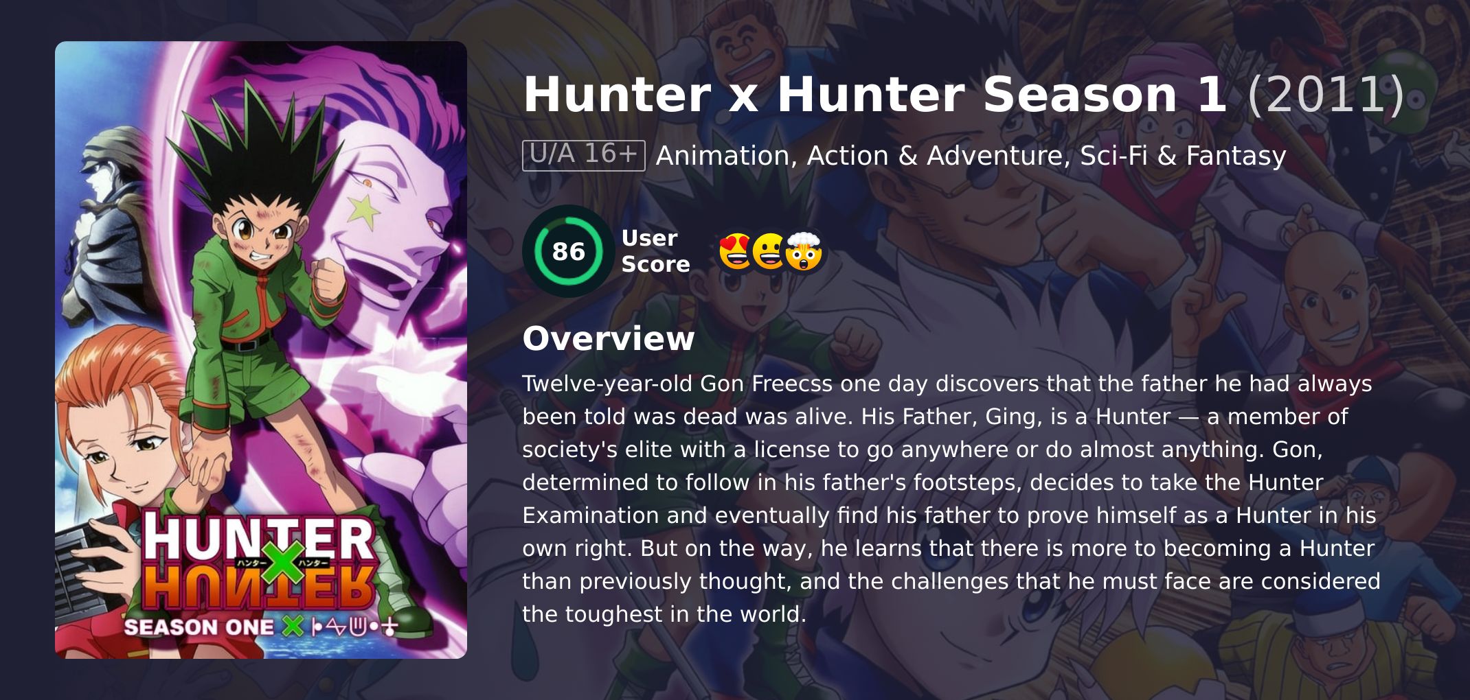 Hunter x Hunter Season 1 Hindi Dubbed