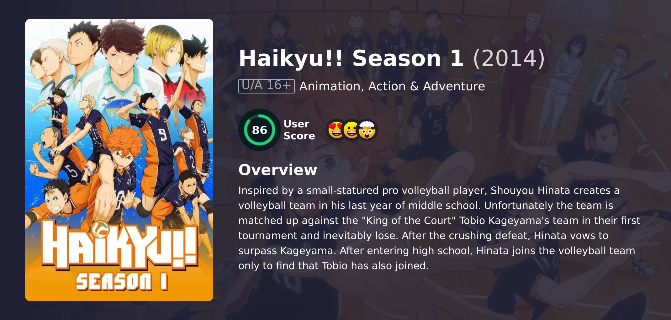 Haikyu!! Season 1 Hindi Dubbed