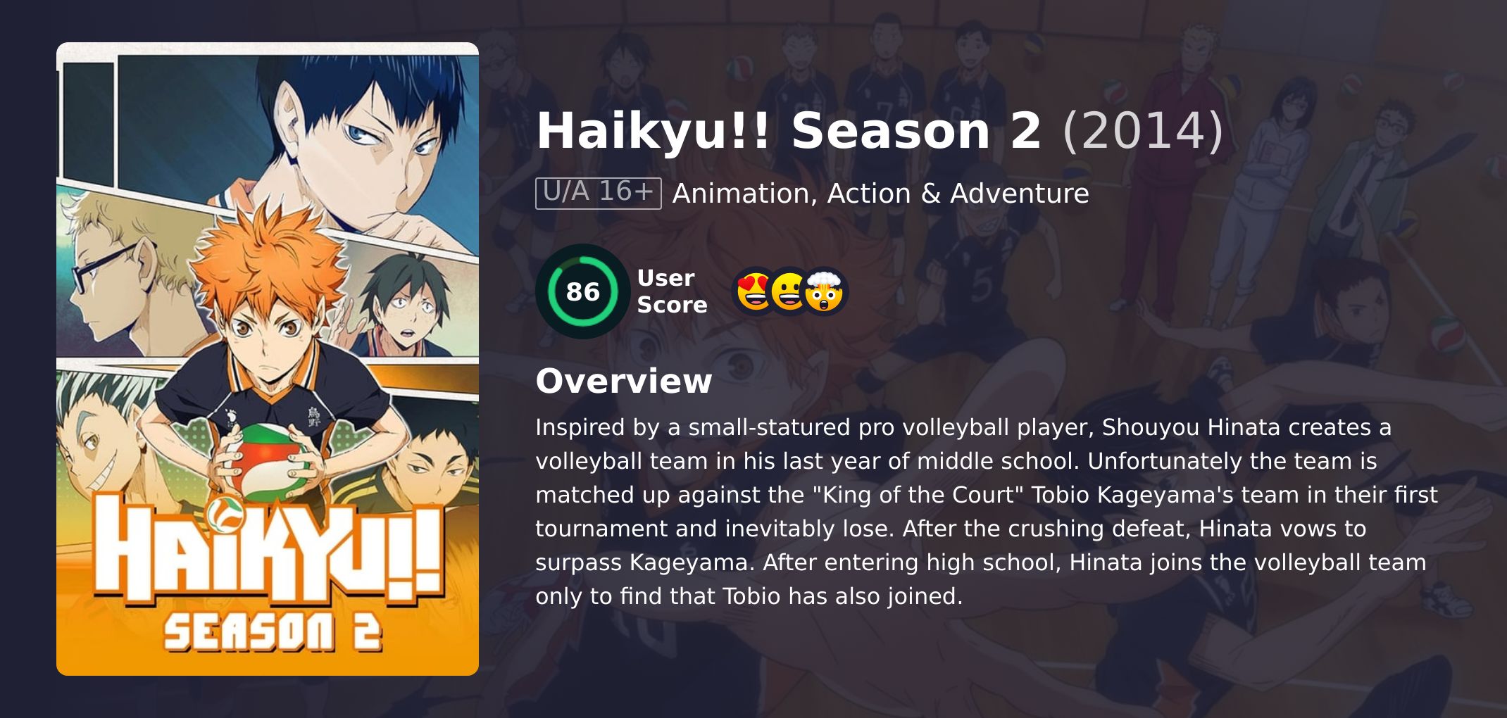 Haikyu!! Season 2 Hindi Dubbed