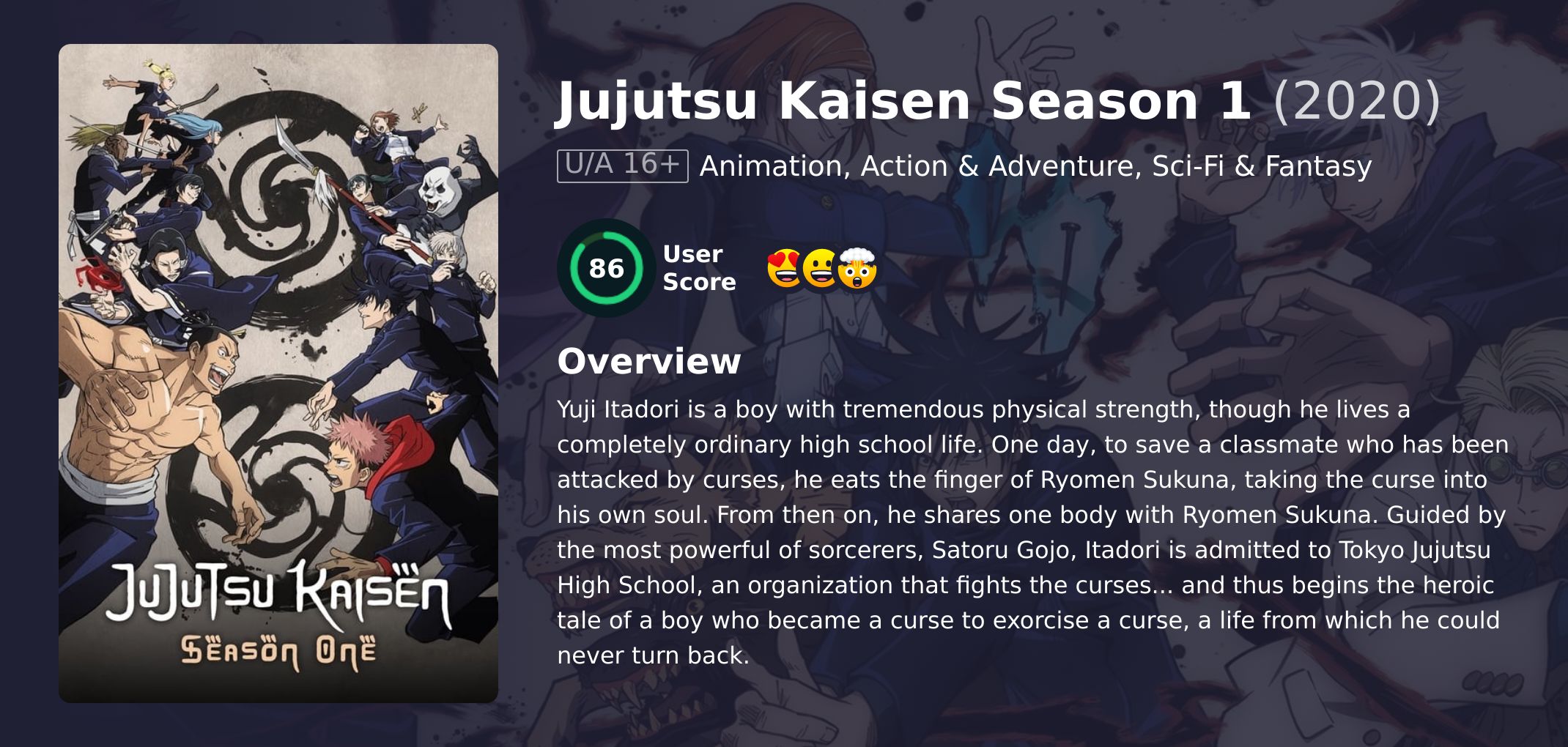 Jujutsu Kaisen Season 1 Hindi Dubbed